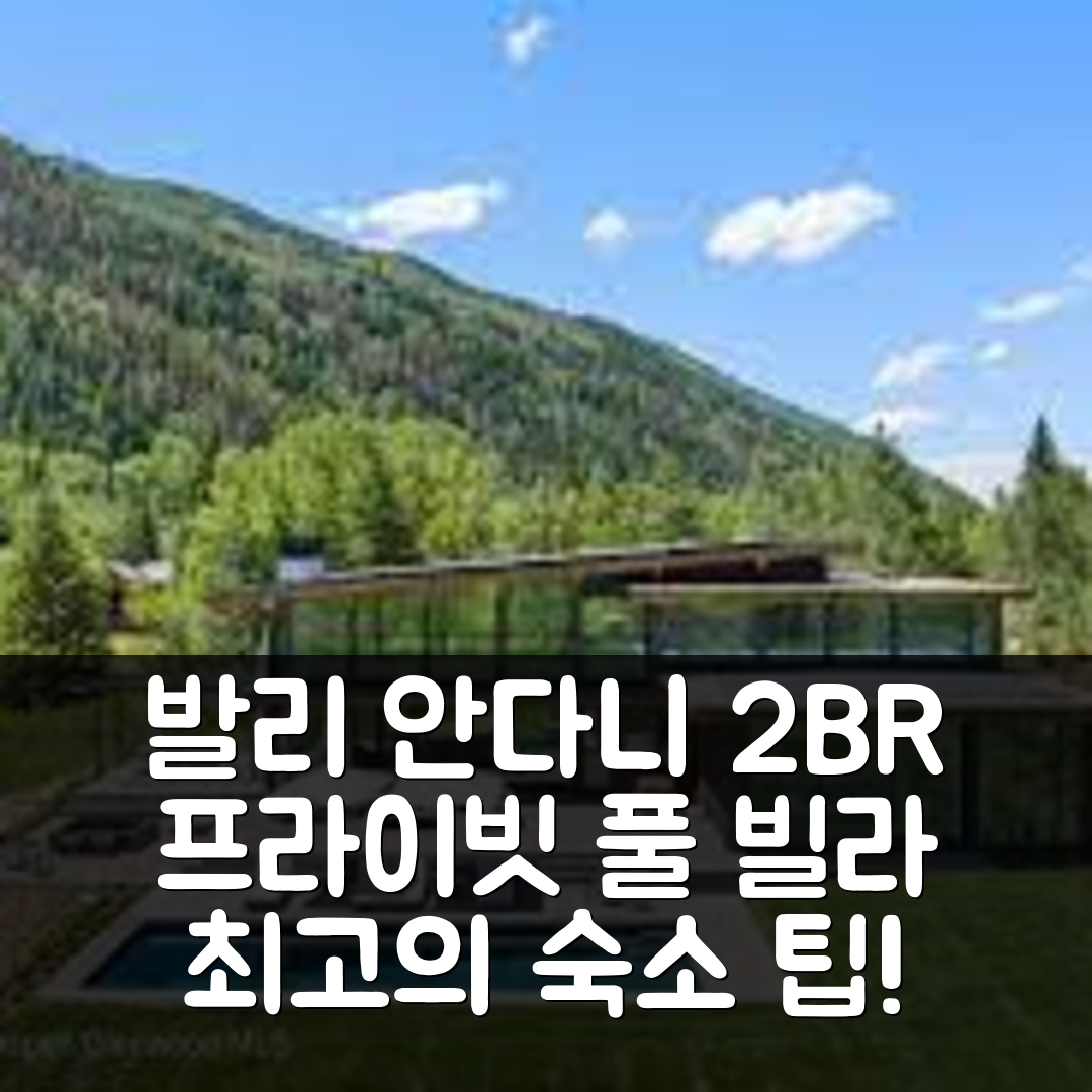 발리 숙소 여행 호텔 추천 짐바란의 안다니 2BR 프라이빗 풀 빌라 Z113 | 5가지 매력과 수영장, 가성비 좋은 예약 팁