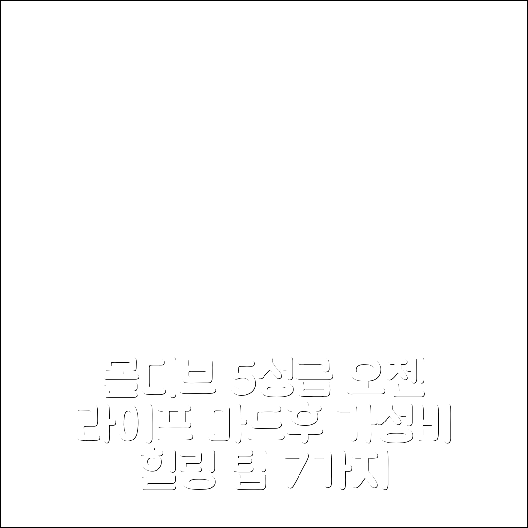 몰디브 아일랜드 숙소 여행 호텔 추천 오젠 라이프 마드후 호텔 | 5성급 가성비와 조식, 수영장 완벽한 힐링 7가지 팁