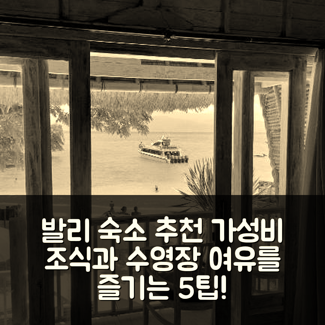 발리 숙소 여행 호텔 추천 몰라몰라 하우스 | 가성비 뛰어난 조식과 수영장으로 여유를 즐기는 5가지 팁