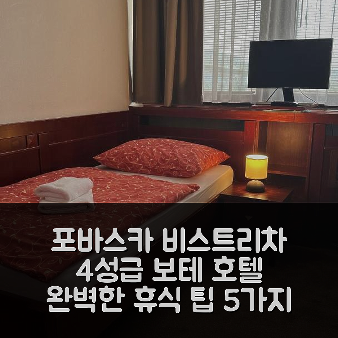 포바스카 비스트리차 숙소 여행 호텔 추천 보테 호텔 | 4성급 조식과 수영장으로 즐기는 완벽한 휴식 5가지 팁