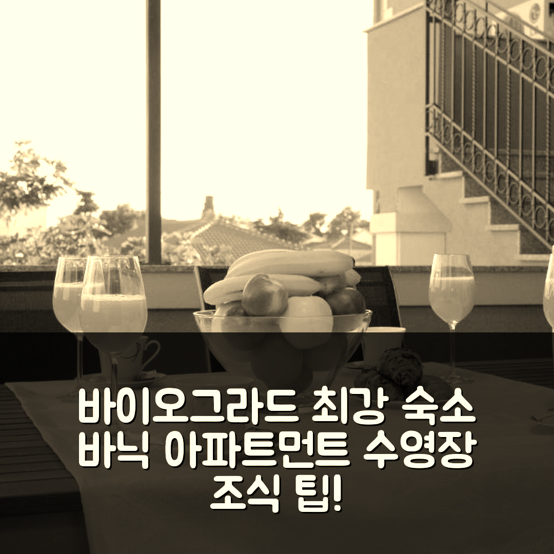 바이오그라드 나 모루 숙소 여행 호텔 추천 바닉 아파트먼트 | 수영장과 가성비 좋은 위치와 조식 5가지 팁