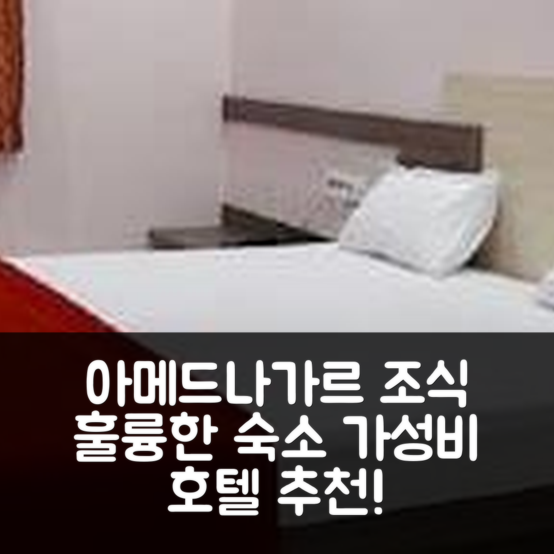 아메드나가르 숙소 여행 호텔 추천 아배이 팰리스 로징 | 가성비 우수한 조식과 위치 정보 7가지