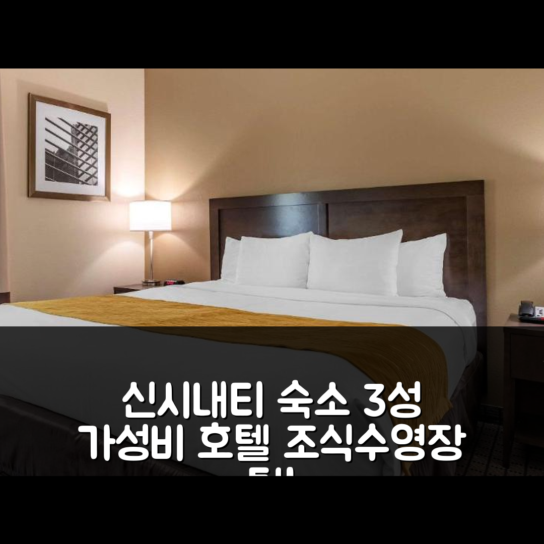 신시내티 숙소 여행 호텔 추천 컴포트 인 앤 스위트 클리프턴 | 가성비 뛰어난 3성급 조식과 수영장 이용 팁 5가지