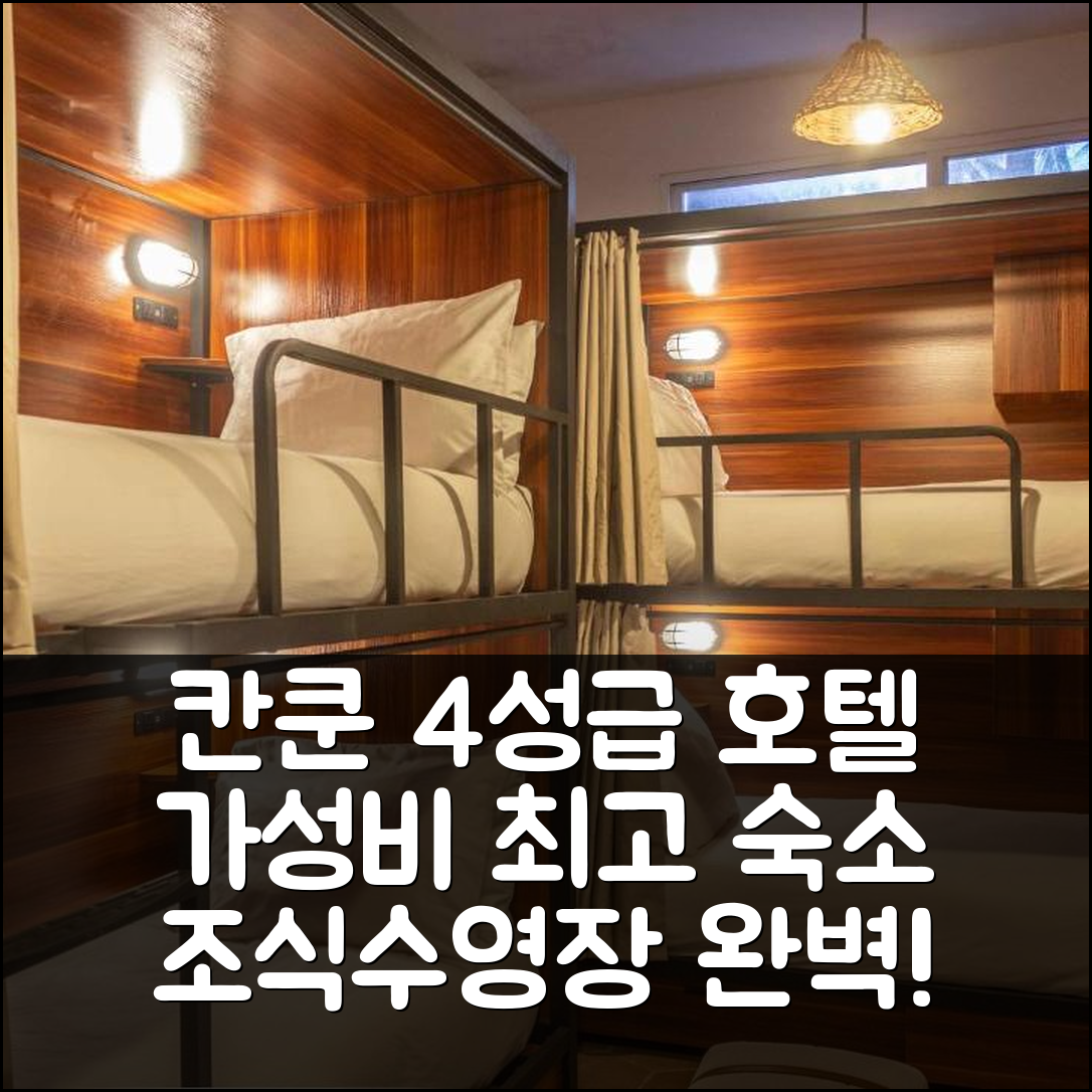 칸쿤 숙소 여행 호텔 추천 셀리나 폭 나 이슬라 무헤레스 | 4성급 수영장과 조식으로 즐기는 가성비 좋은 휴양지 7가지