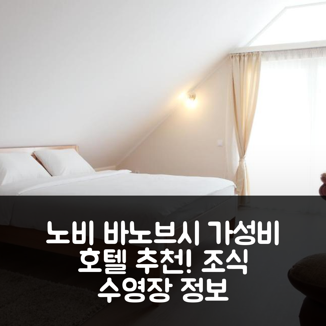 노비 바노브시 숙소 여행 호텔 추천 노벨라 우노 호텔 | 가성비 뛰어난 조식과 수영장 정보 5가지