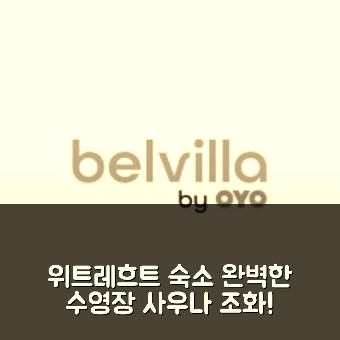 위트레흐트 숙소 여행 호텔 추천 그룹 스테이 | 5가지 이유로 완벽한 수영장과 사우나의 조화