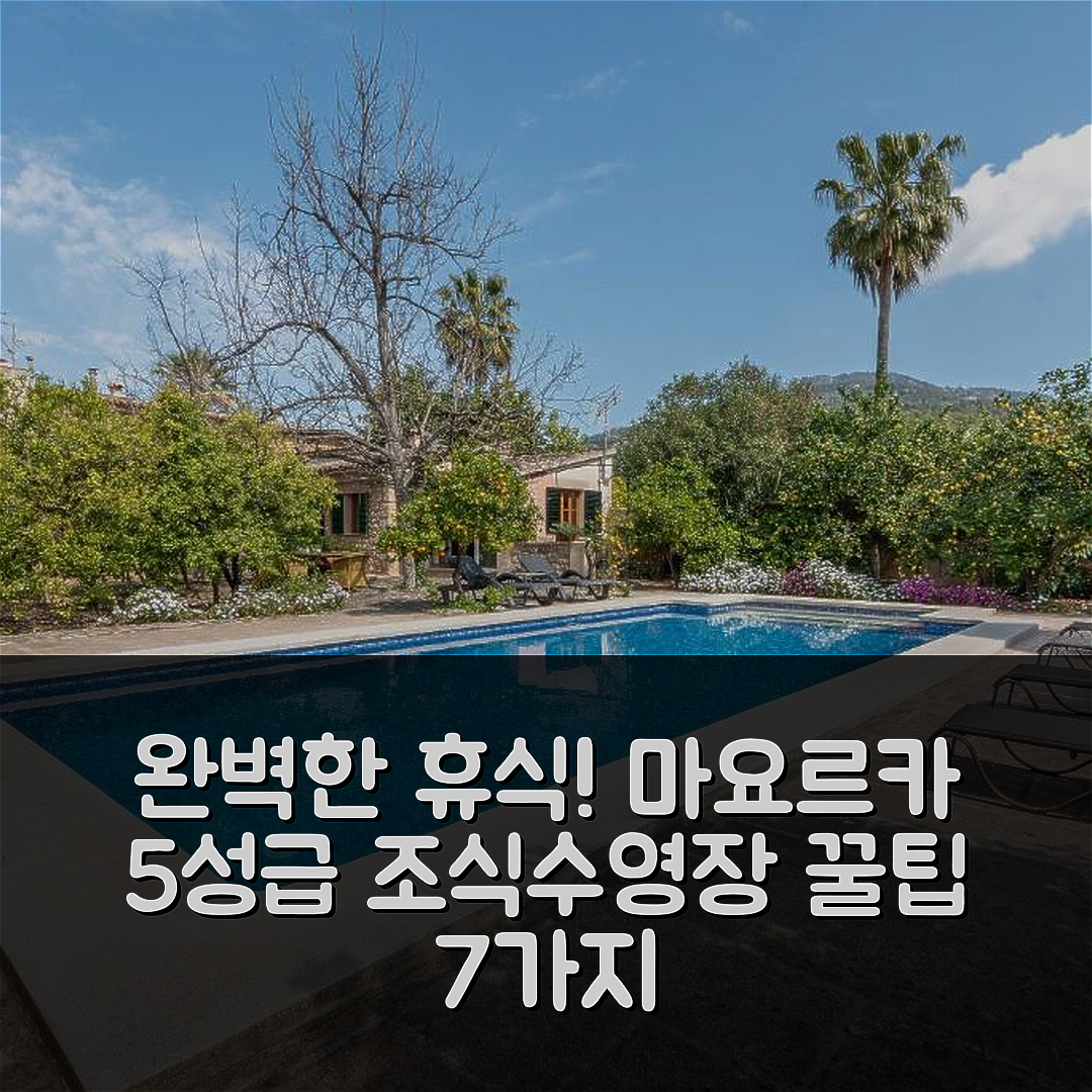 마요르카 숙소 여행 호텔 추천 핀카 칸 바케타 | 5성급 조식과 수영장으로 즐기는 완벽한 휴식 팁 7가지