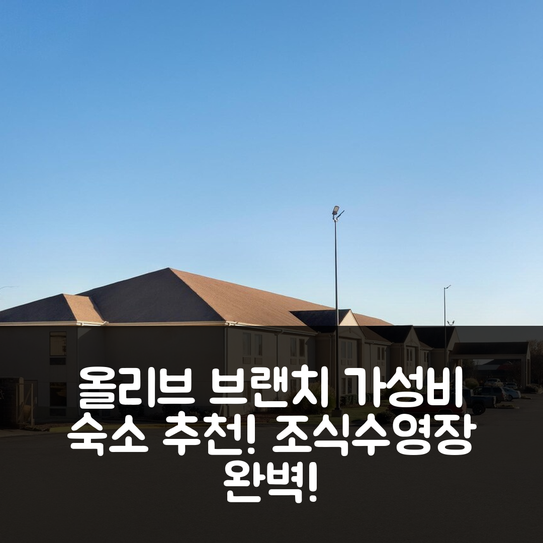 올리브 브랜치 숙소 여행 호텔 추천 수퍼 에이트 호텔 | 가성비 좋은 조식과 수영장 5가지 장점