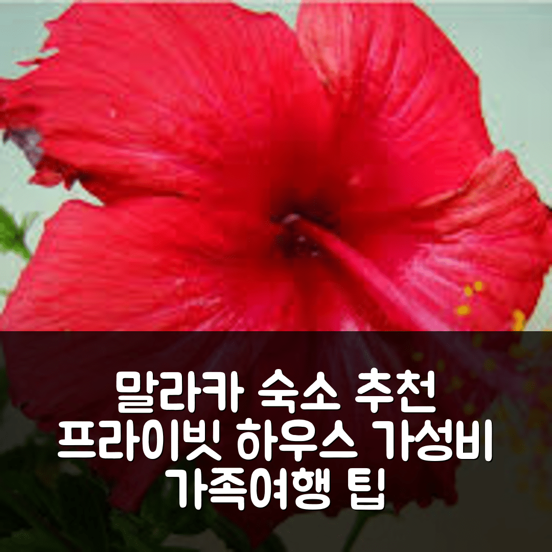 말라카 숙소 여행 호텔 추천 존커의 프라이빗 하우스 | 90m² 공간과 가성비 최고의 가족 여행 숙소 5가지 팁