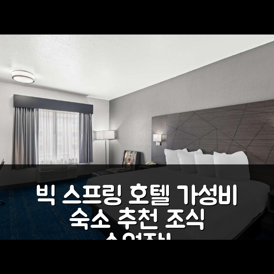 빅 스프링 숙소 여행 호텔 추천 베스트 웨스턴 팰리스 인 앤드 스위트 | 조식과 수영장, 가성비 좋은 예약 팁 5가지