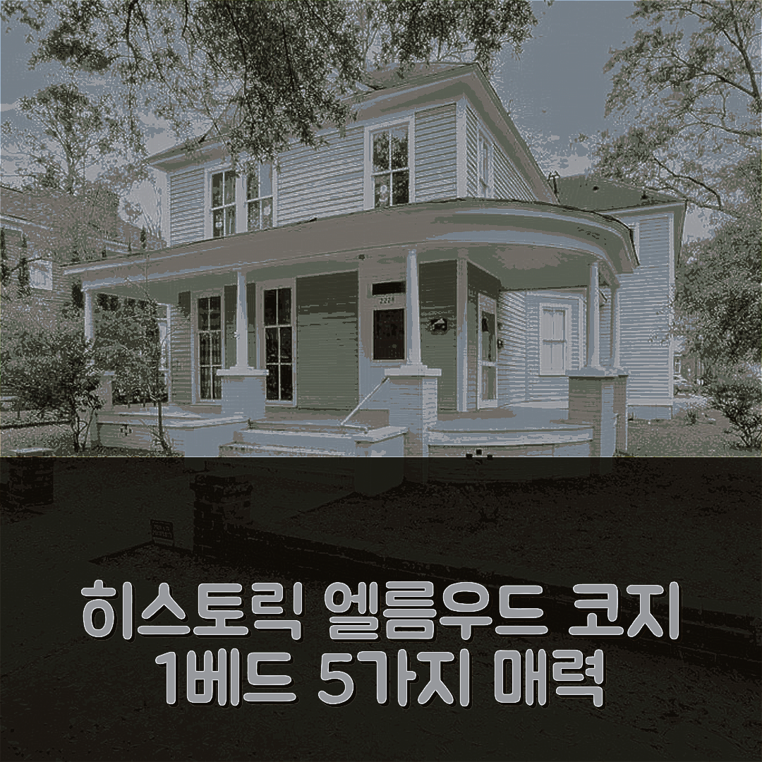 컬럼비아 숙소 여행 호텔 추천 코지 1 베드 히스토릭 엘름우드 파크 센테니얼 하우스 | 가성비와 위치에서 만나는 5가지 매력